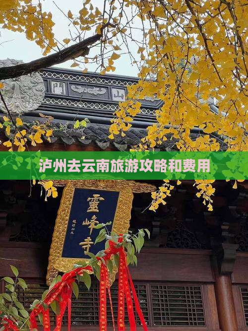 泸州去云南旅游攻略和费用(图2)