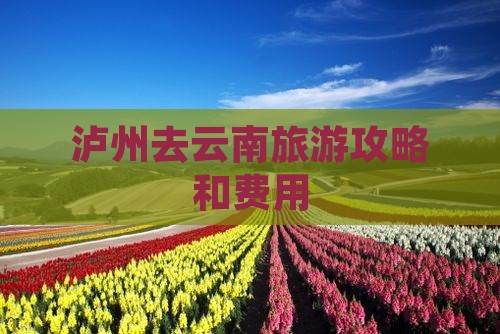 泸州去云南旅游攻略和费用(图3)