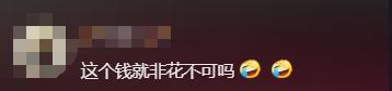 泰国游“降温”游客转向三亚机票涨两倍22万一晚的酒店被订光(图11)