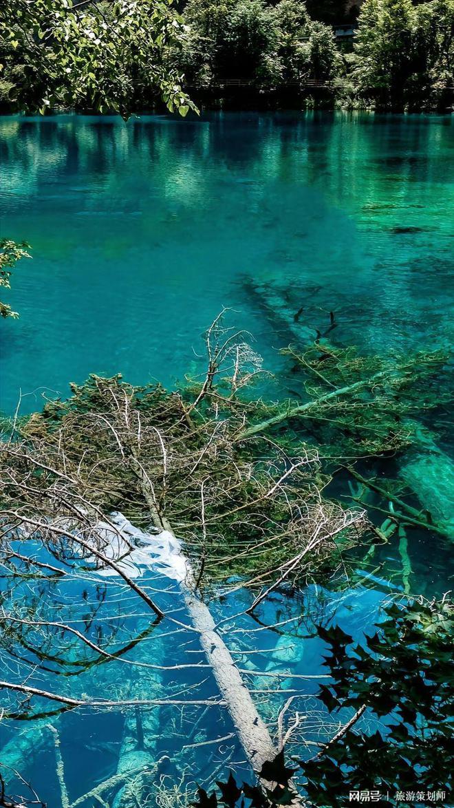 成都旅游5天要多少钱？攻略在手让你轻松掌控旅行预算(图2)