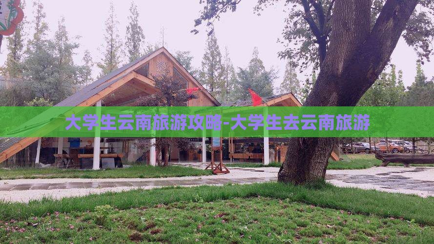 九游娱乐下载：大学生云南旅游攻略大学生去云南旅游(图4)