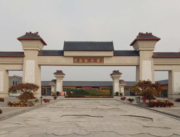 年轻人出门旅游酒店该怎么选？这几点一定要注意(图2)