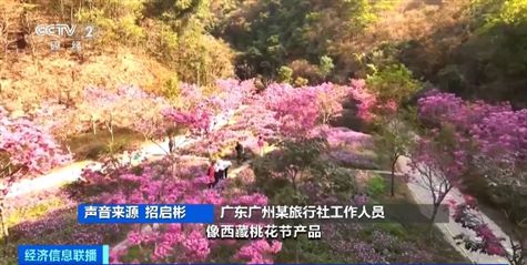 节后出游正当时冲浪赏花邮轮游……错峰旅行更划算(图4)