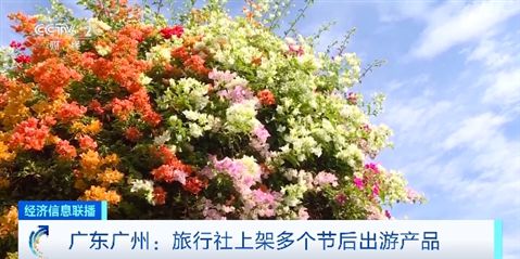 节后出游正当时冲浪赏花邮轮游……错峰旅行更划算(图3)