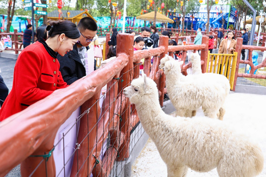 广旅集团：文旅新玩法呈现新魅力(图2)