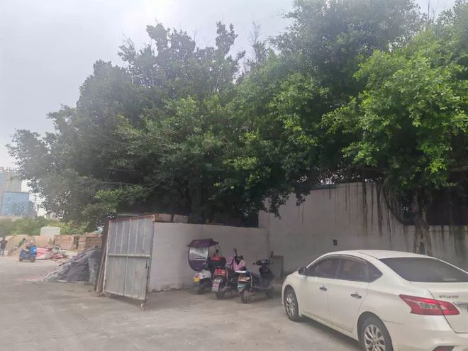 温州这家五星级酒店第四次流拍什么原因？(图7)