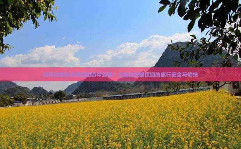 如何避免在海南跟团游中受骗？全面指南确保您的旅行安全与愉快(图5)