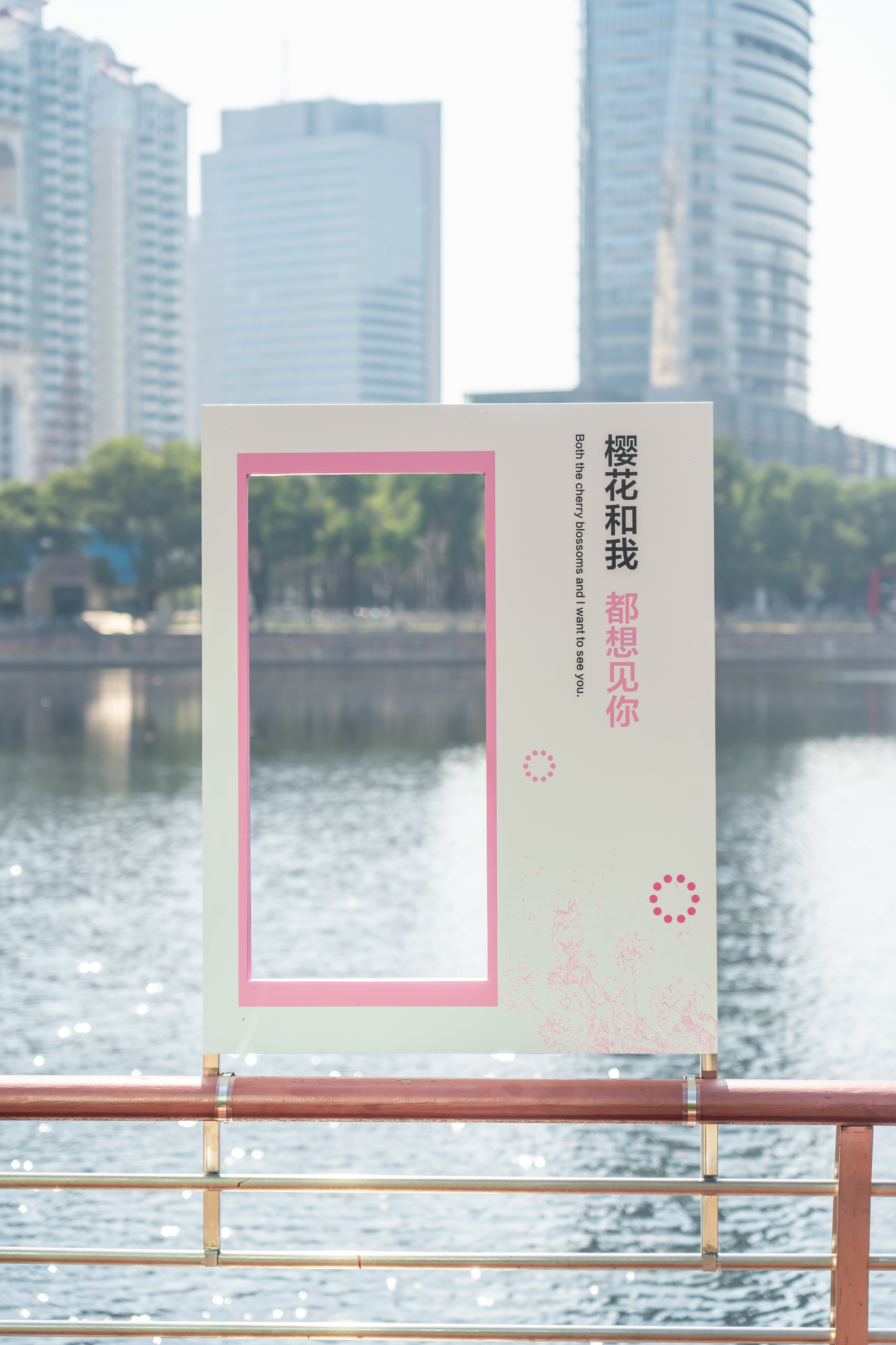 九游娱乐APP：凤言锋语第272期：以花为媒构筑文商旅融合新高地 江汉区赏樱热潮酒店入住率逼近100%(图6)