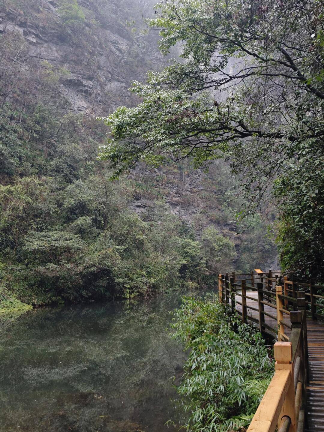 九游娱乐网址：张家界旅游35天价格35天费用区间早知晓(图2)