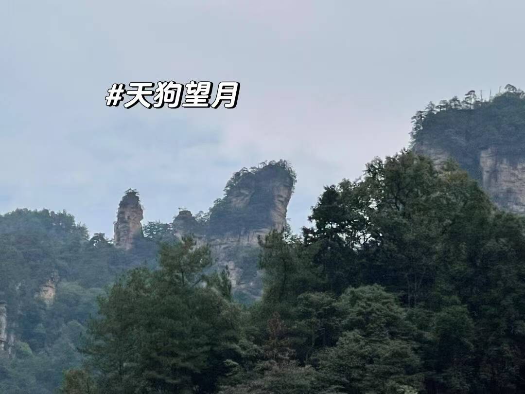 九游娱乐网址：张家界旅游35天价格35天费用区间早知晓(图3)
