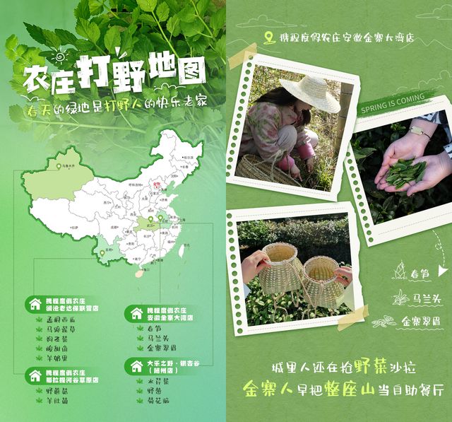 携程清明出游预测：太原门票订单大涨40%(图2)