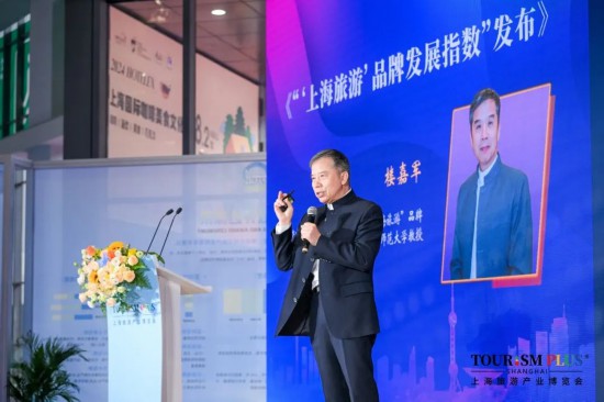 规模创历届新高2025上海旅游产业博览会来了(图13)