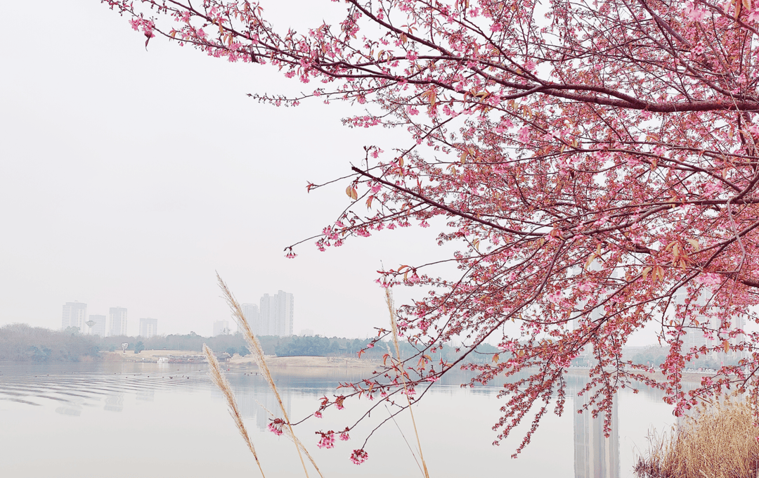 不知道去哪？10 条主题旅游线路一键开启快乐(图11)