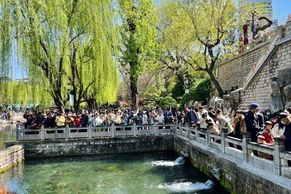 历下春日旅游热度攀升 人气爆棚满意度高(图4)